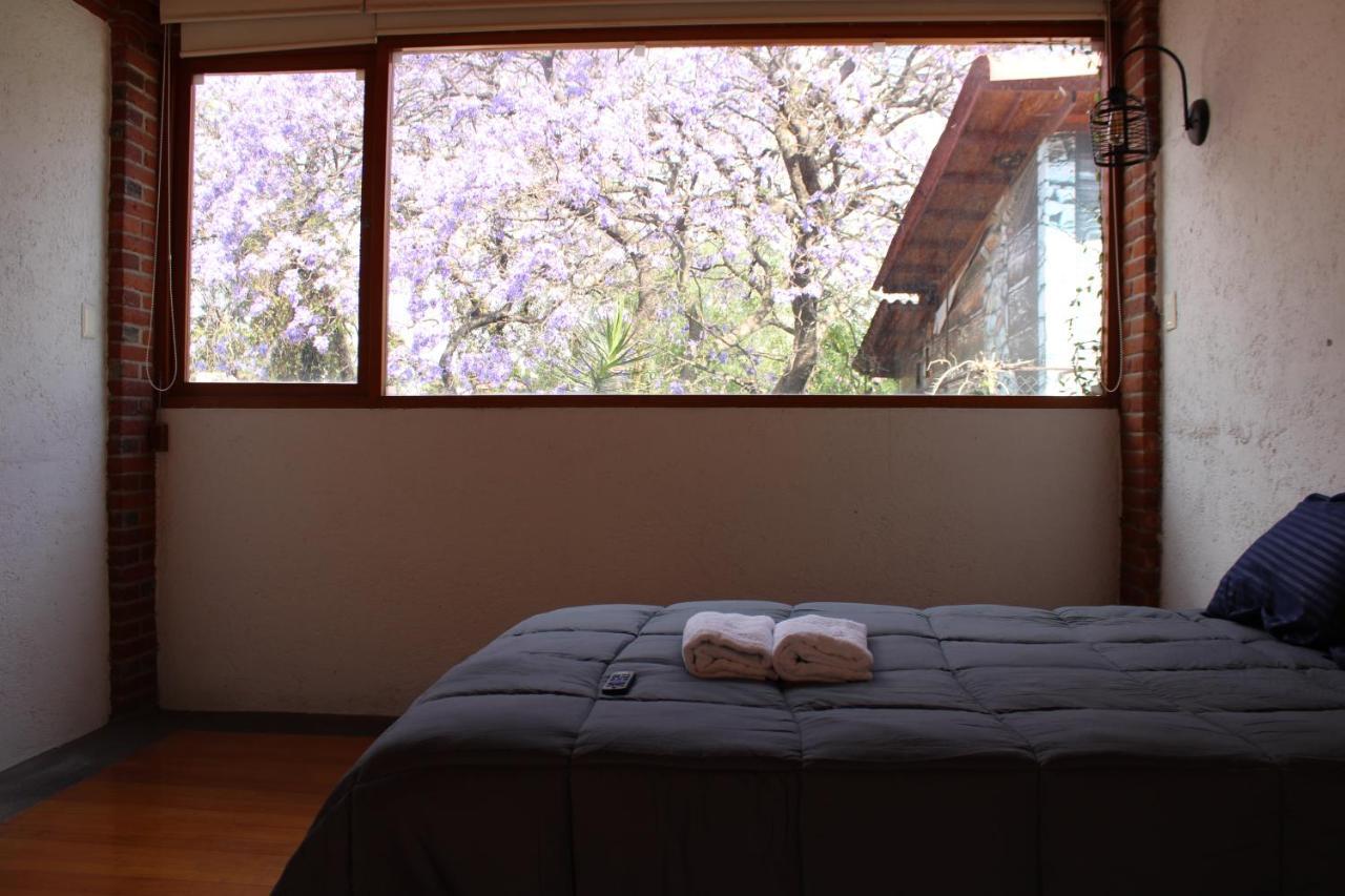 Casa Frida Coyoacan Cidade do México Exterior foto